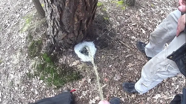 Velika boys pissing together a big foamy puddle at a tree topla cev